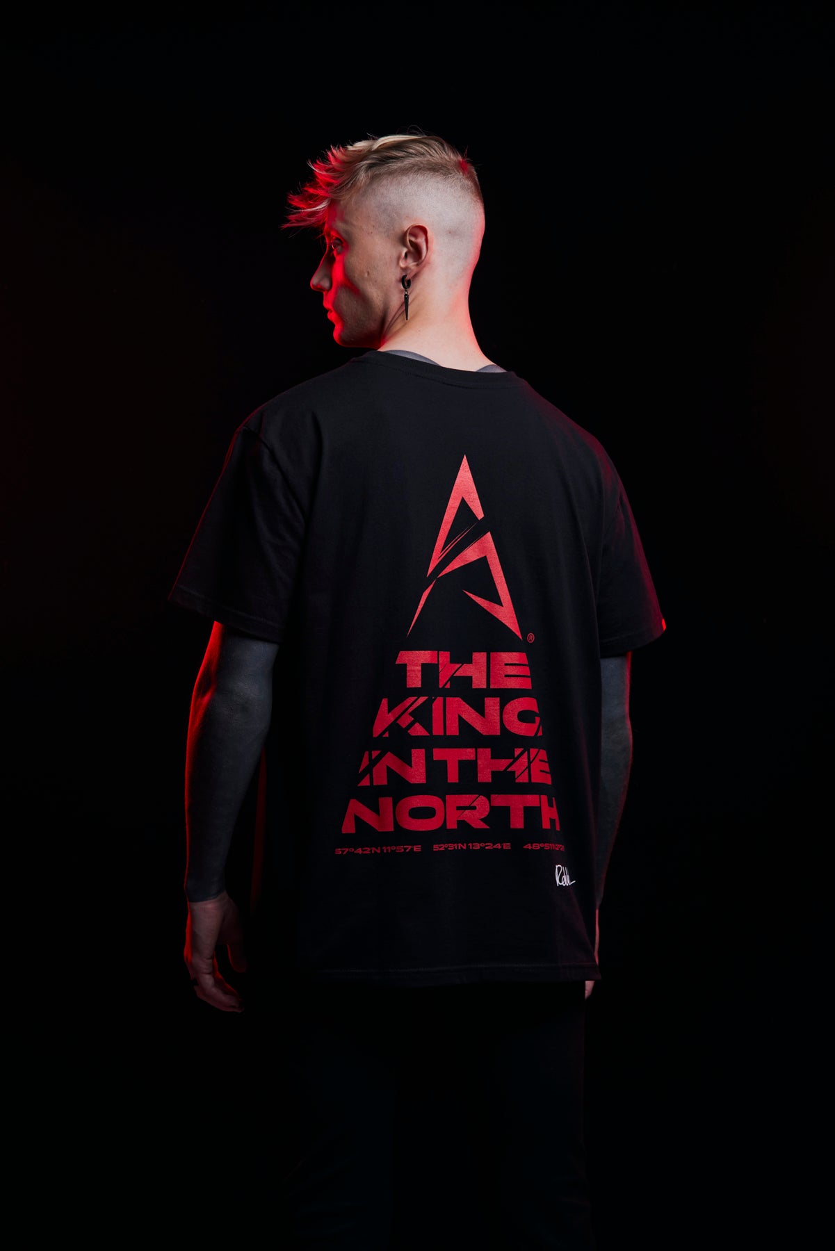 King in the north t shirt on sale