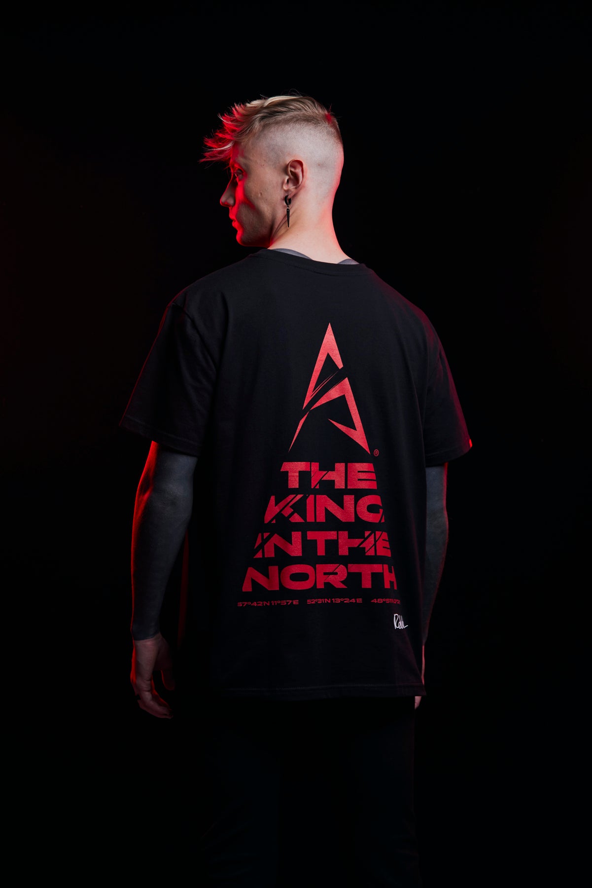 The King In The North T-Shirt