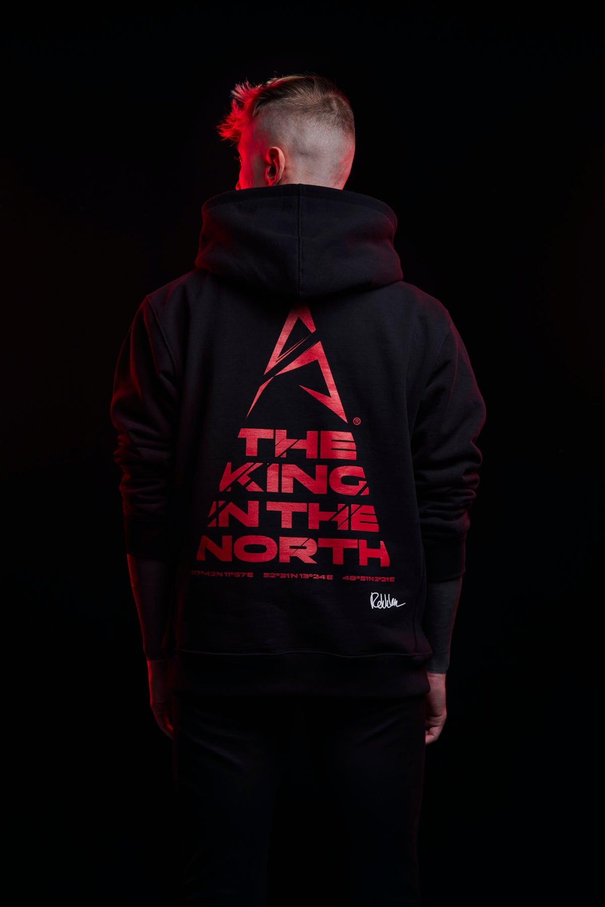 The King In The North Hoodie